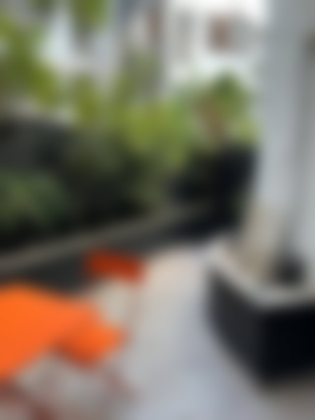 Bureau 50 m² avec terrasse, Oasis Casablanca — 5