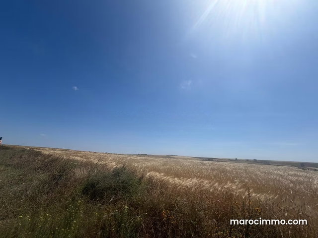 À vendre – Terrain agricole à Casablanca — 2