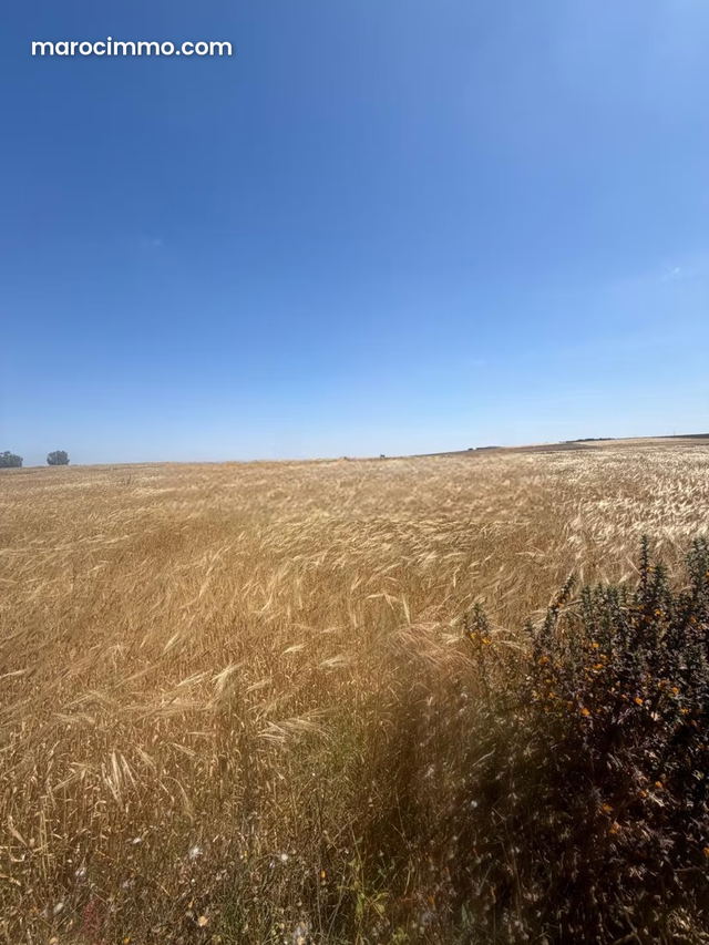 À vendre – Terrain agricole à Casablanca — Casablanca