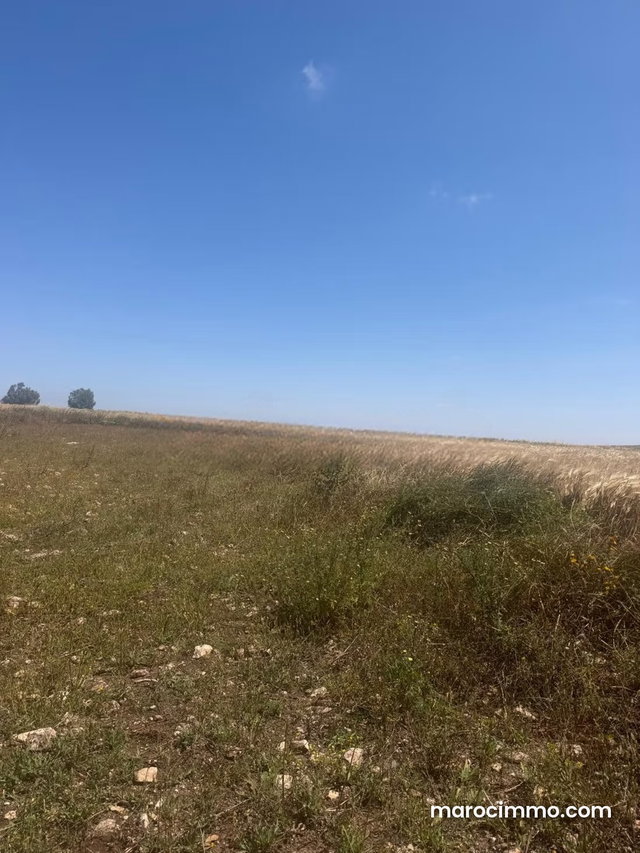 À vendre – Terrain agricole à Casablanca — 4