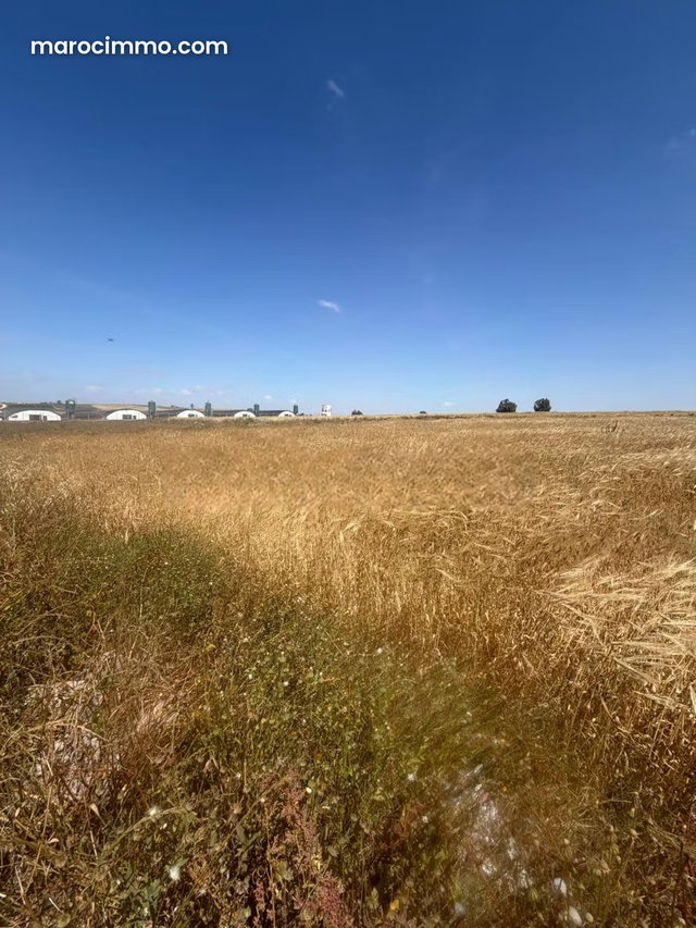 À vendre – Terrain agricole à Casablanca — 5