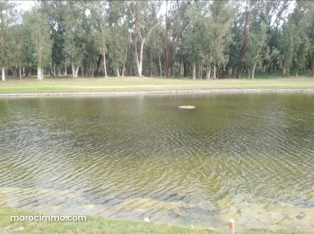 Appartement en vente à Royal golf el jadida — 3