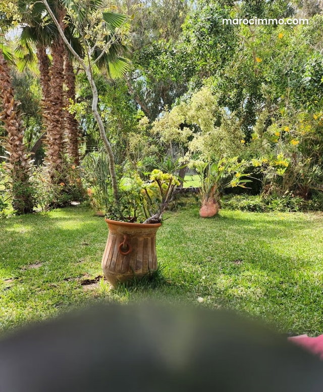 Appartement en vente à Royal golf el jadida — 4