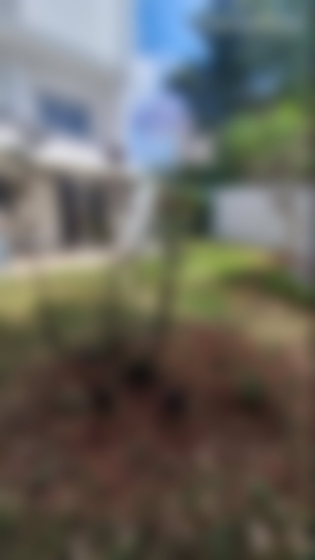 Villa 320 m² avec jardin et garage, C.I.L Casablanca — 2