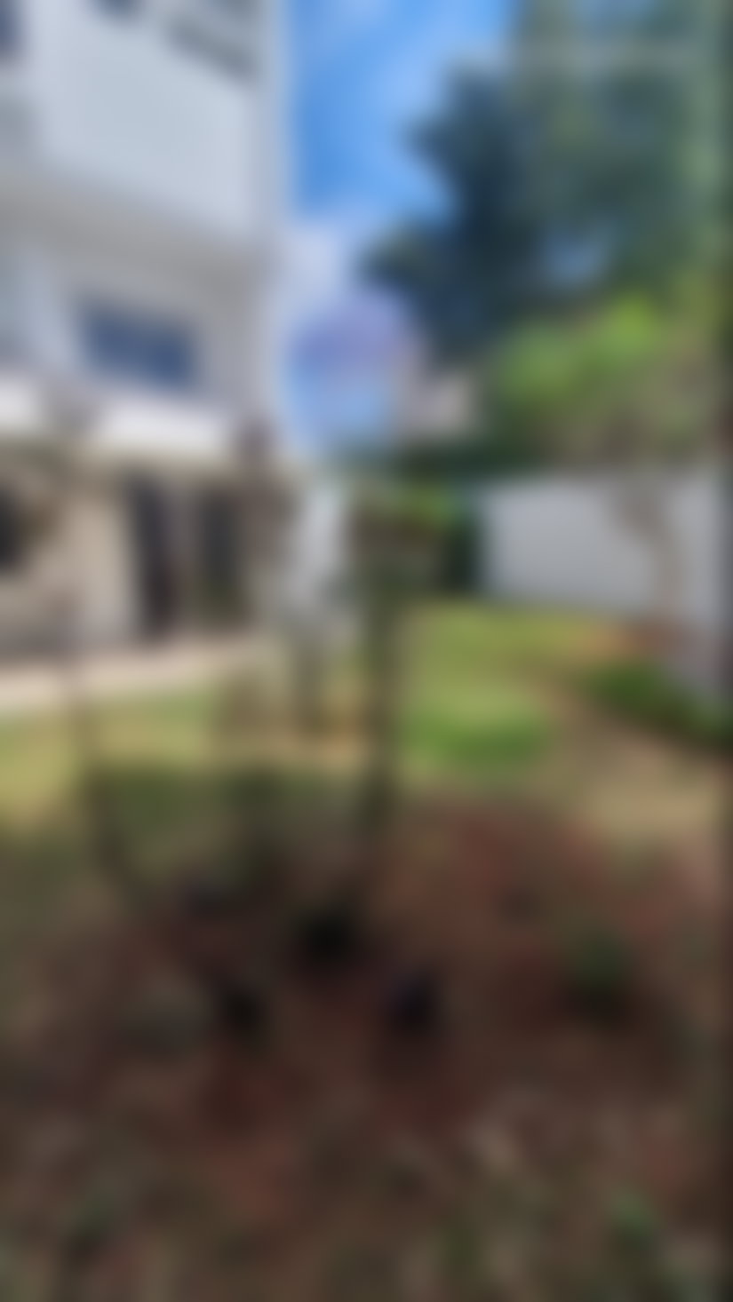 Villa 320 m² avec jardin et garage, C.I.L Casablanca