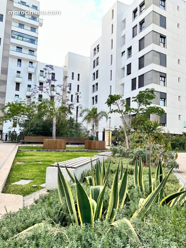 Appartement à louer Cfc sans vis à vis terrasse — 2