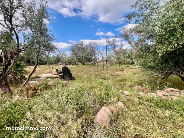 Terrain à vendre à Route de l'Ourika. Superficie 8336 m² — 4