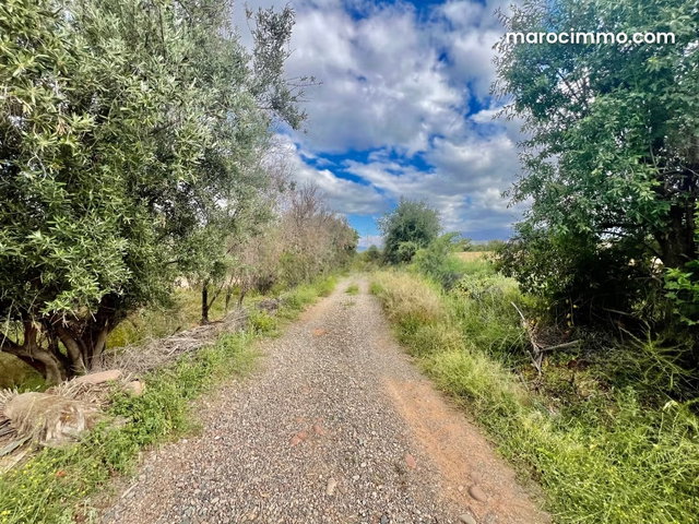 Terrain à vendre à Route de l'Ourika. Superficie 8336 m² — 3