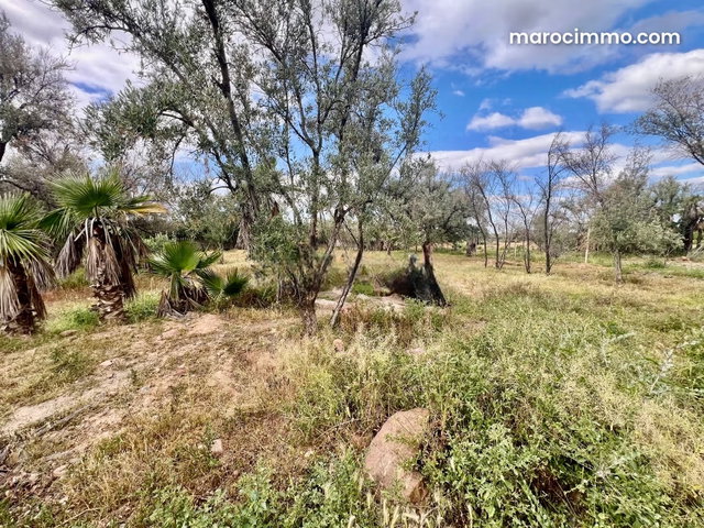 Terrain à vendre à Route de l'Ourika. Superficie 8336 m² — 2