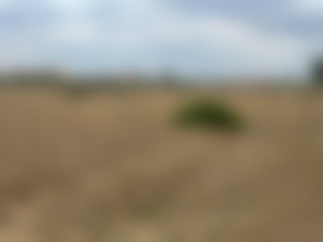 أرض 10 000 م² للبيع في أوريكة وسط طبيعة خلابة — 2