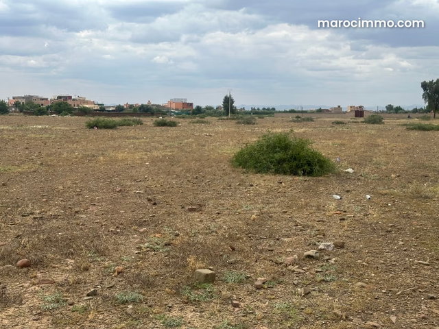 Vente de terrain à Ourika. Surface totale 10000 m² — 2