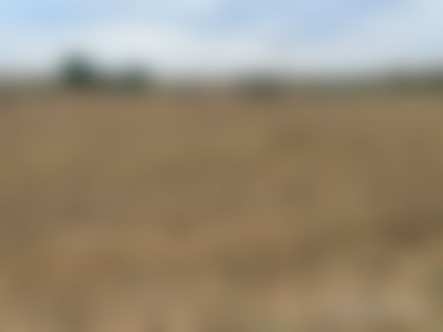 أرض 10 000 م² للبيع في أوريكة وسط طبيعة خلابة — 4