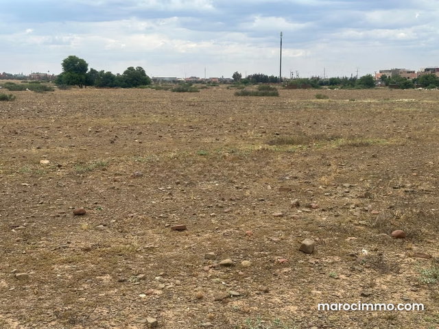Vente de terrain à Ourika. Surface totale 10000 m² — 4