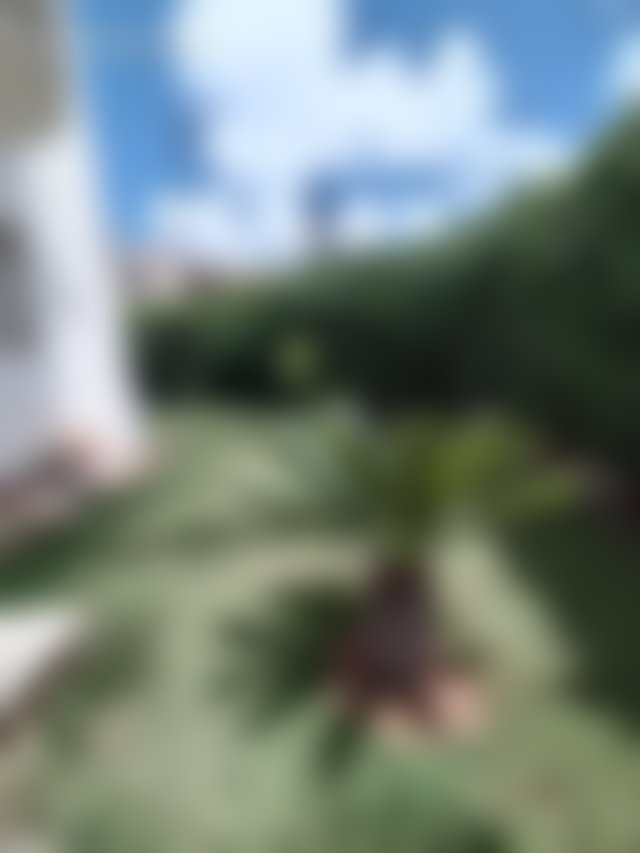 600 m² Villa for Rent in Riyad, Rabat: 4 Bedrooms, Garden and Tranquility — 5