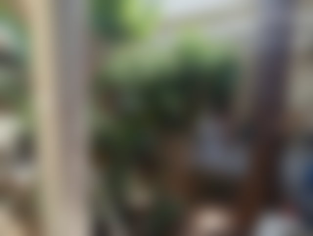 Villa 4 chambres avec jardin, C.I.L, Casablanca — 2