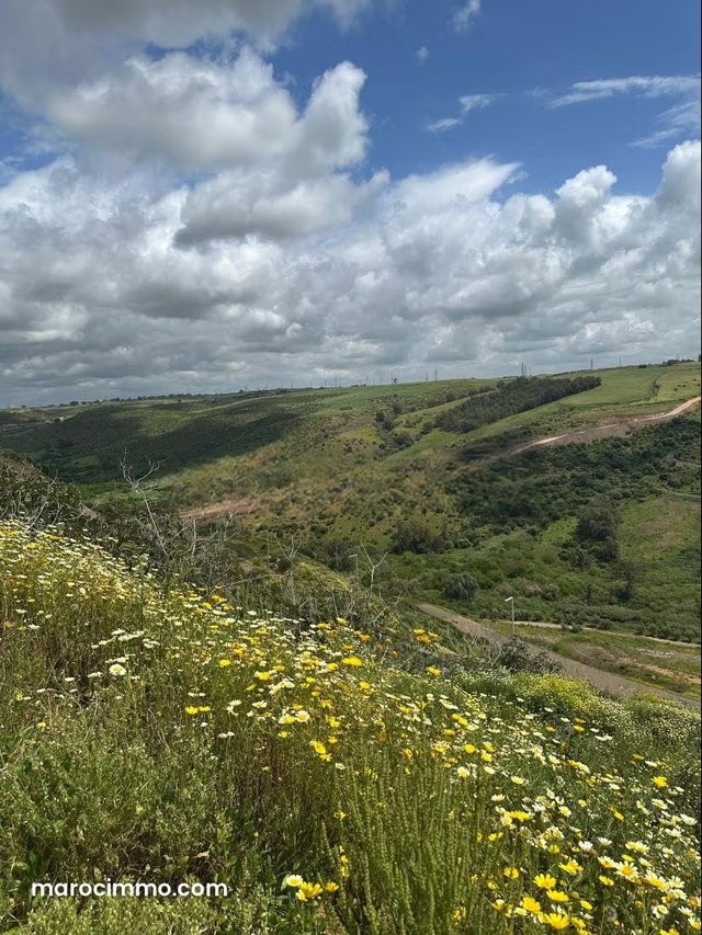 Terrain à vendre à Souissi dar salam sur la vallée Surface de 1780 m² — 3