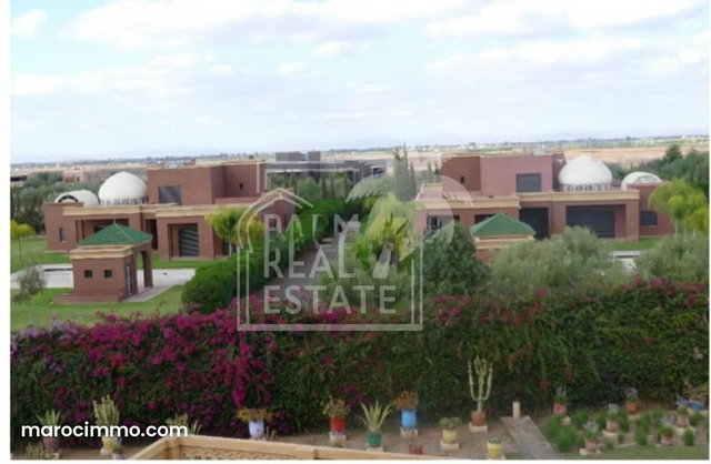 For Sale – Exceptional Opportunity for 2 Luxury Villas on 1 Hectare — 5