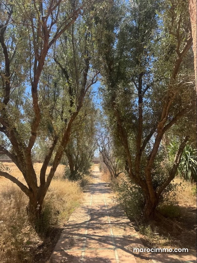 Rare Opportunity with VNA. Requires Renovation — 3