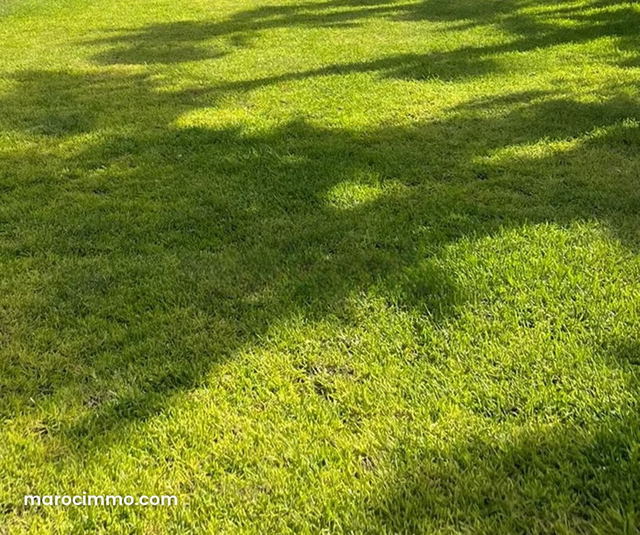 Terrain à vendre à Souissi. Surface totale 2986 m² — Rabat