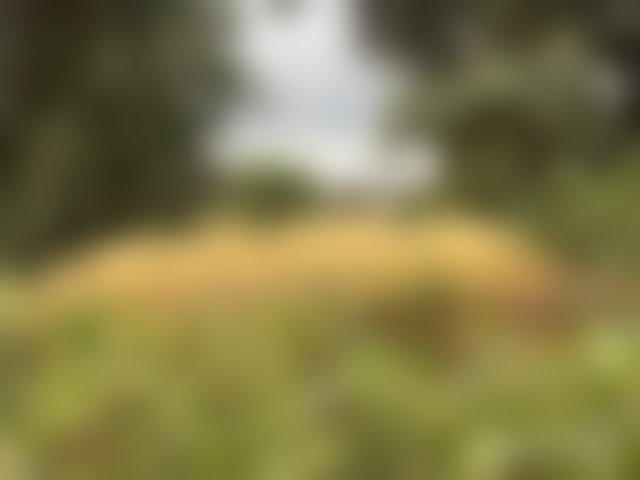قطعة أرض محفظة 3000 م² للبيع بفاصك — 5