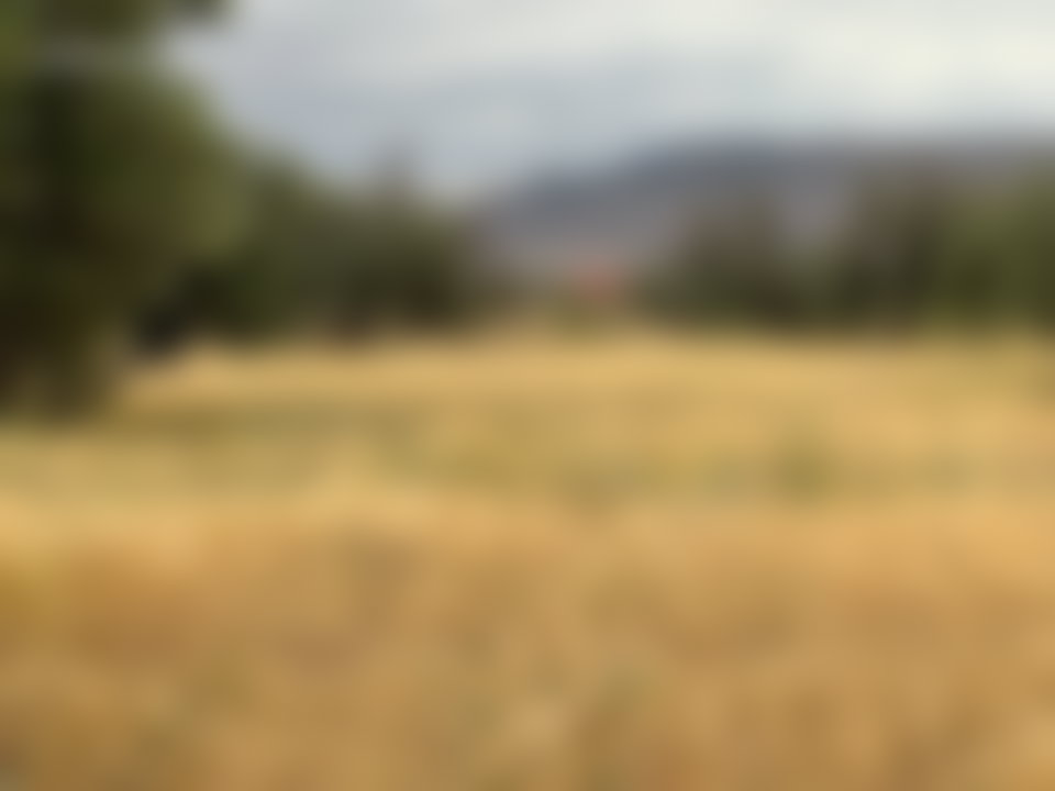 قطعة أرض محفظة 3000 م² للبيع بفاصك