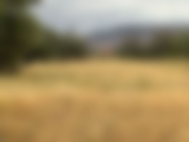 Titled 3,000 m² Plot in Fask, Land Investment Opportunity — Fask