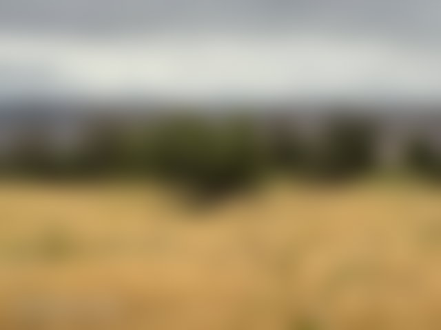 قطعة أرض محفظة 3000 م² للبيع بفاصك — 4