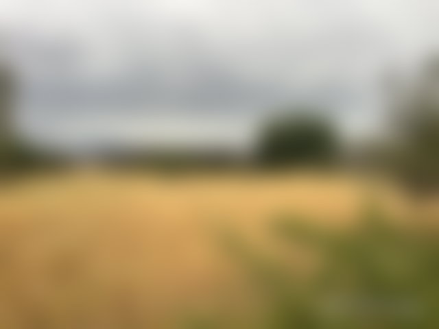 قطعة أرض محفظة 3000 م² للبيع بفاصك — 3