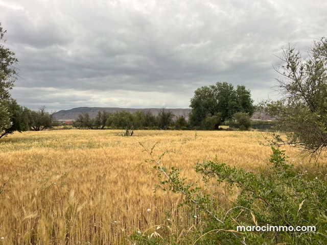 Terrain à vendre à Ait Faska. Surface de 3000 m² — 3