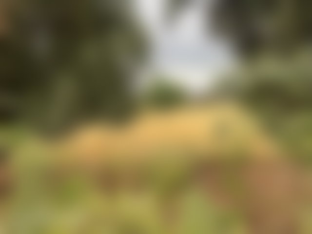 قطعة أرض محفظة 3000 م² للبيع بفاصك — 2