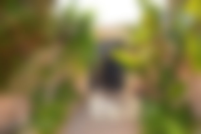 فيلا راقية مع مسبح على طريق مراكش بالصويرة — 3