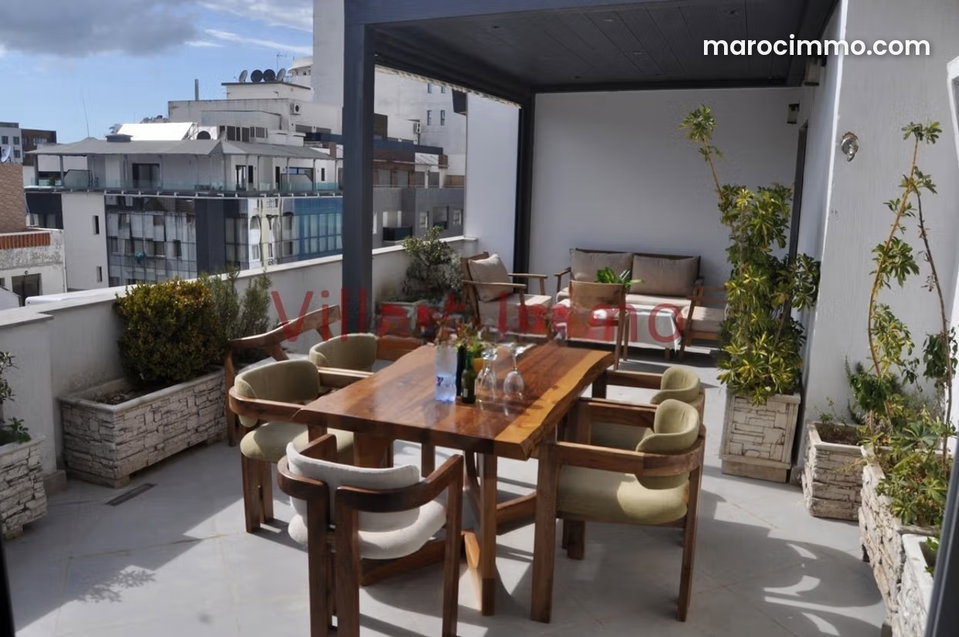 Luxurious and Magnificent Apartment with Terrace