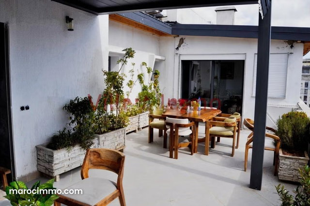Magnifique et luxueux appartement avec terrasse — 5