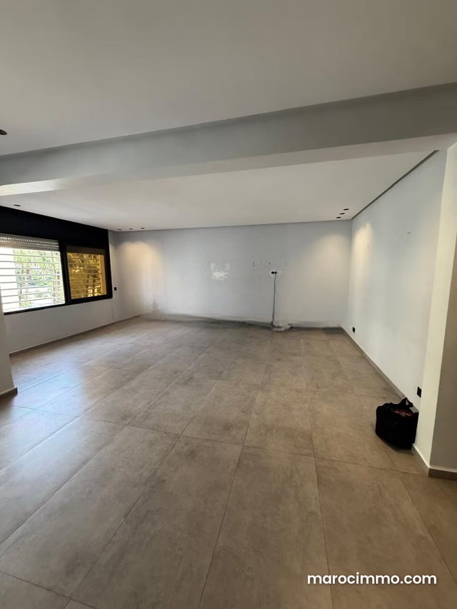 Location top appart vide trois ch racine vide — 2