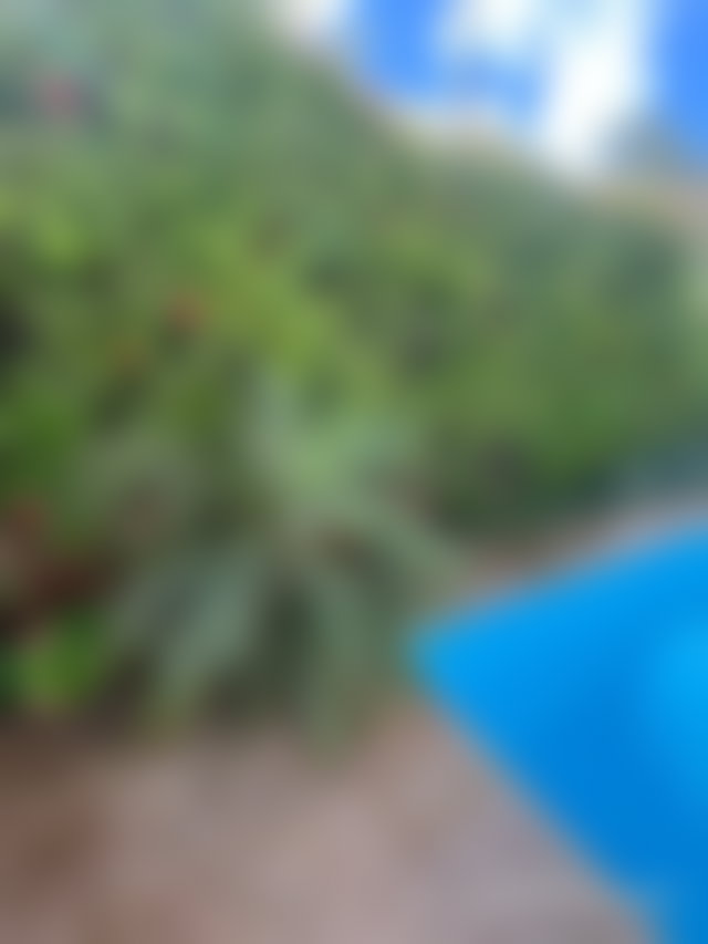 6-Bedroom Villa with Pool, Riyad, Rabat — 4