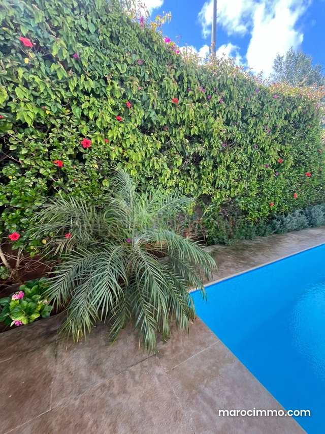 Location villa de luxe à Riyad. Surface totale 800 m². Fenêtres double vitrage et chauffage central — 4