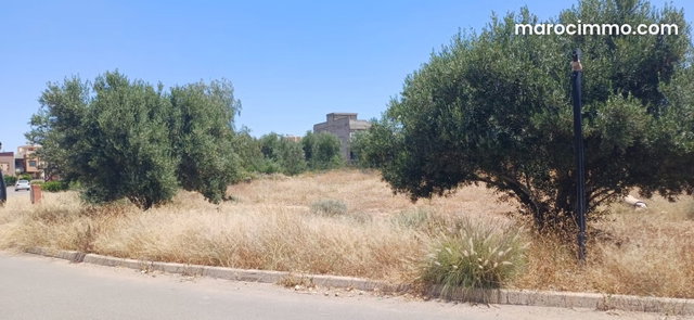 Beau lot de villa à vendre sur route de casa — 4