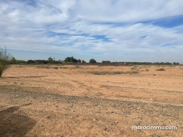 Terrain exceptionnel à vendre –Titré De 7 hektar — 2