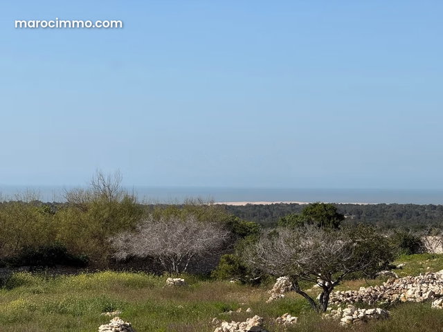 VILLA VUE MER, à 8 kms d'Essaouira — 3