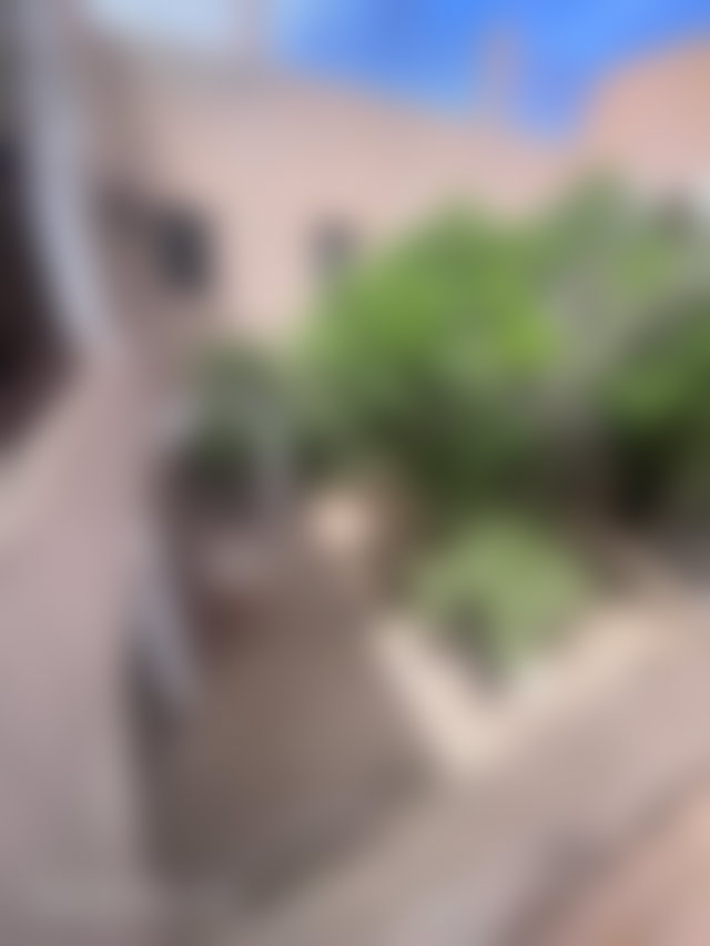 Maison 250 m² à rénover, Moulay Lyazid, Marrakech — 4