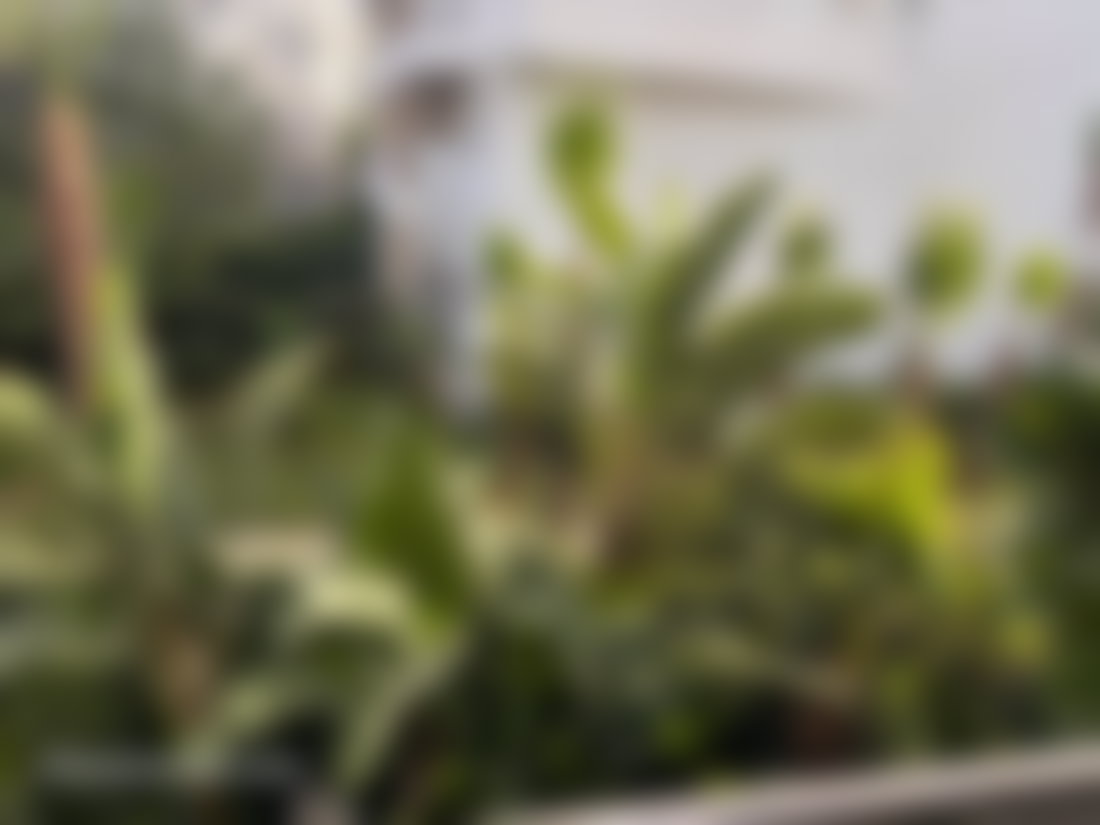 Appartement meublé 180 m², piscine et jardin privés, Riyad Rabat