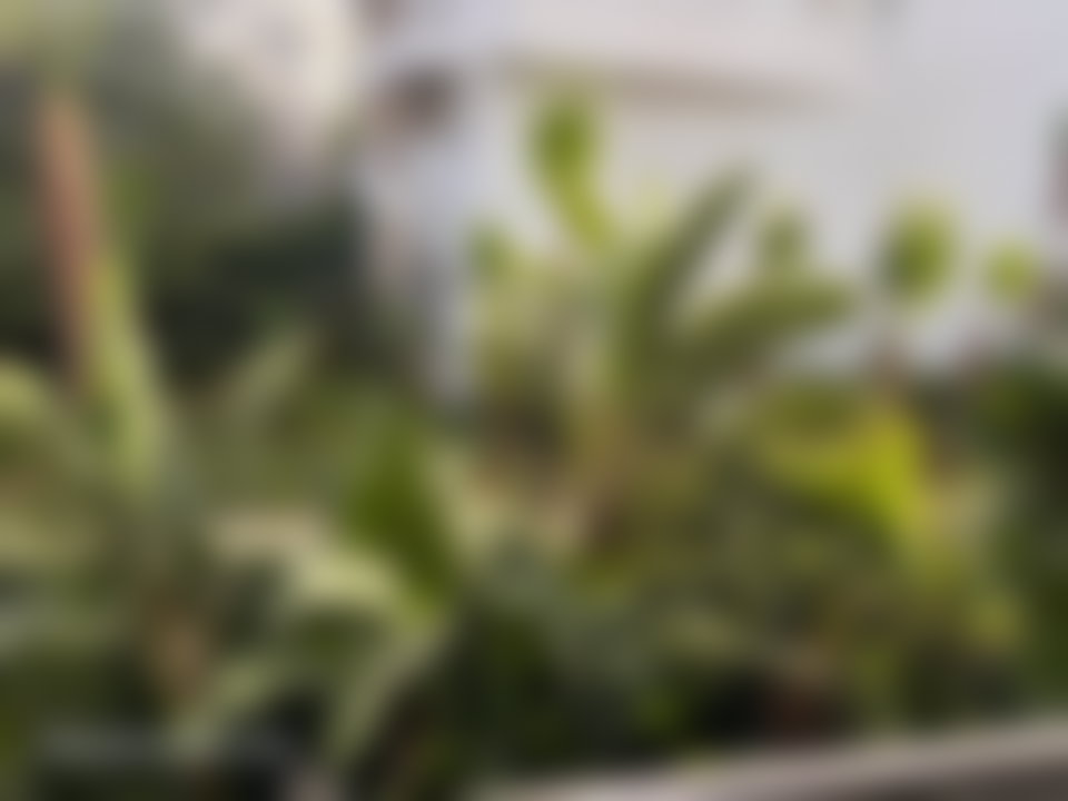 Appartement meublé 180 m², piscine et jardin privés, Riyad Rabat