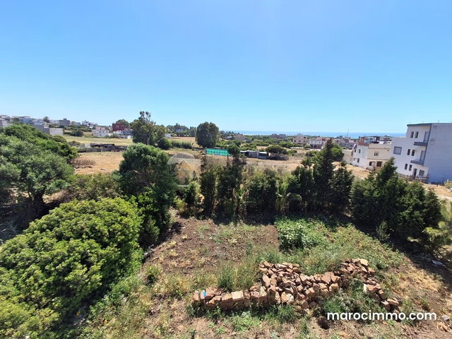 Villa à vendre 1 036 m², 3 chambres Autre Tanger — 5