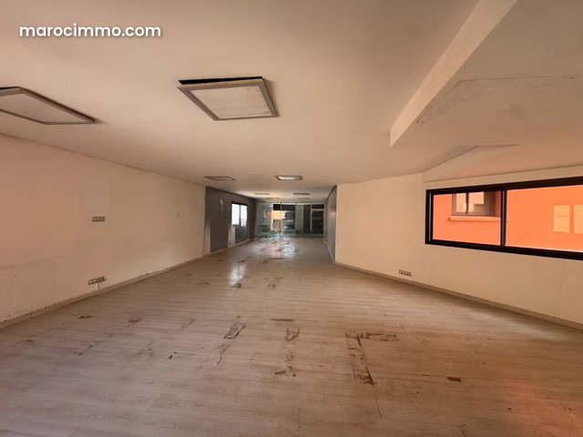 Spacieux bureau à louer sur Boulevard Med V — 4