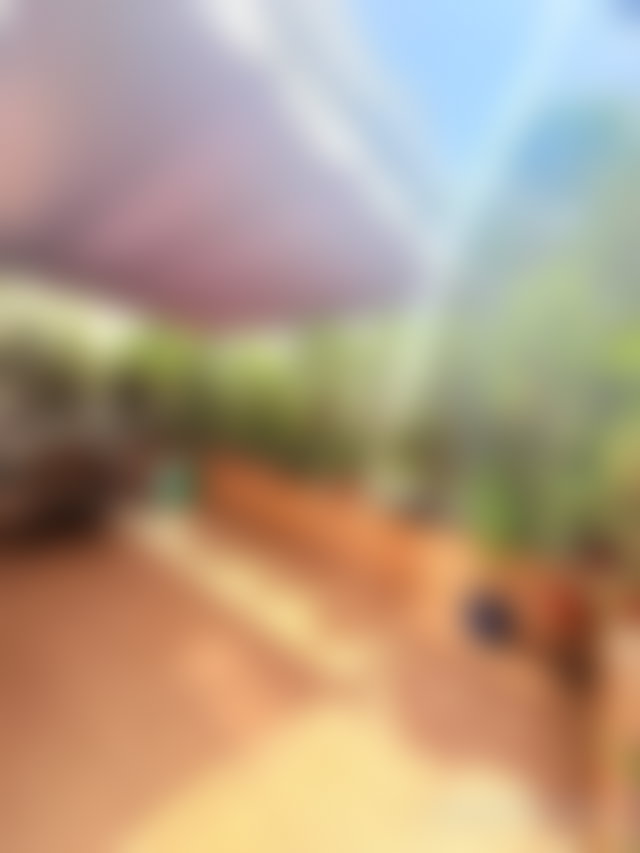Appartement 3 chambres avec jardin à Victoria, Bouskoura — 5