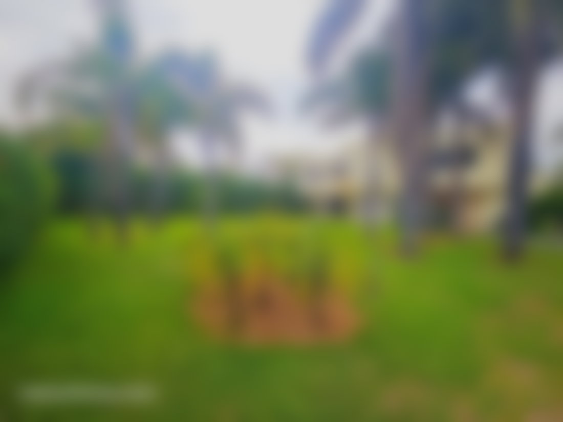 Villa 700 m² sur 1870 m² de jardin, Souissi, Rabat