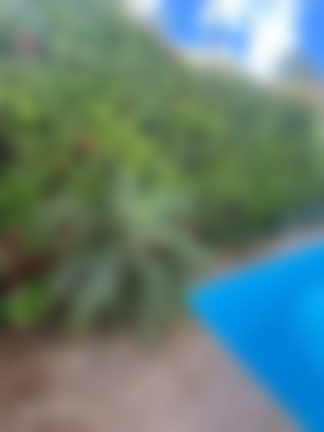 850 sqm villa with swimming pool and garden, Hay Riad, Rabat — 4