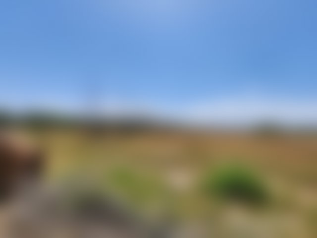 أرض شاسعة للبيع بطريق أوريكا مراكش — 5