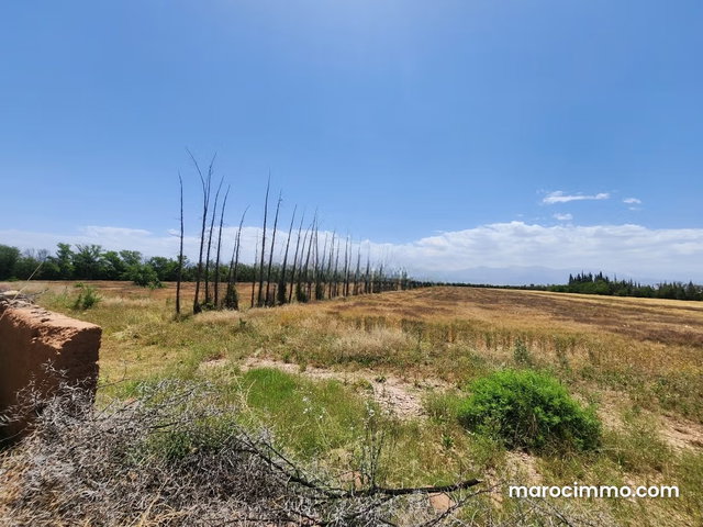 Terrain de 73 354 m² à vendre – Route de l’Ourika Km 20 – Marrakech — 5
