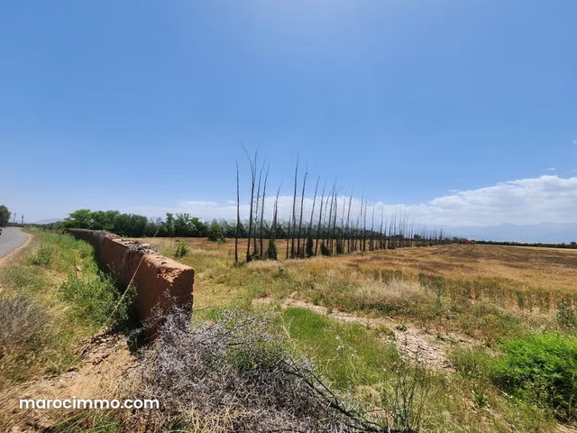 Terrain de 73 354 m² à vendre – Route de l’Ourika Km 20 – Marrakech — 4